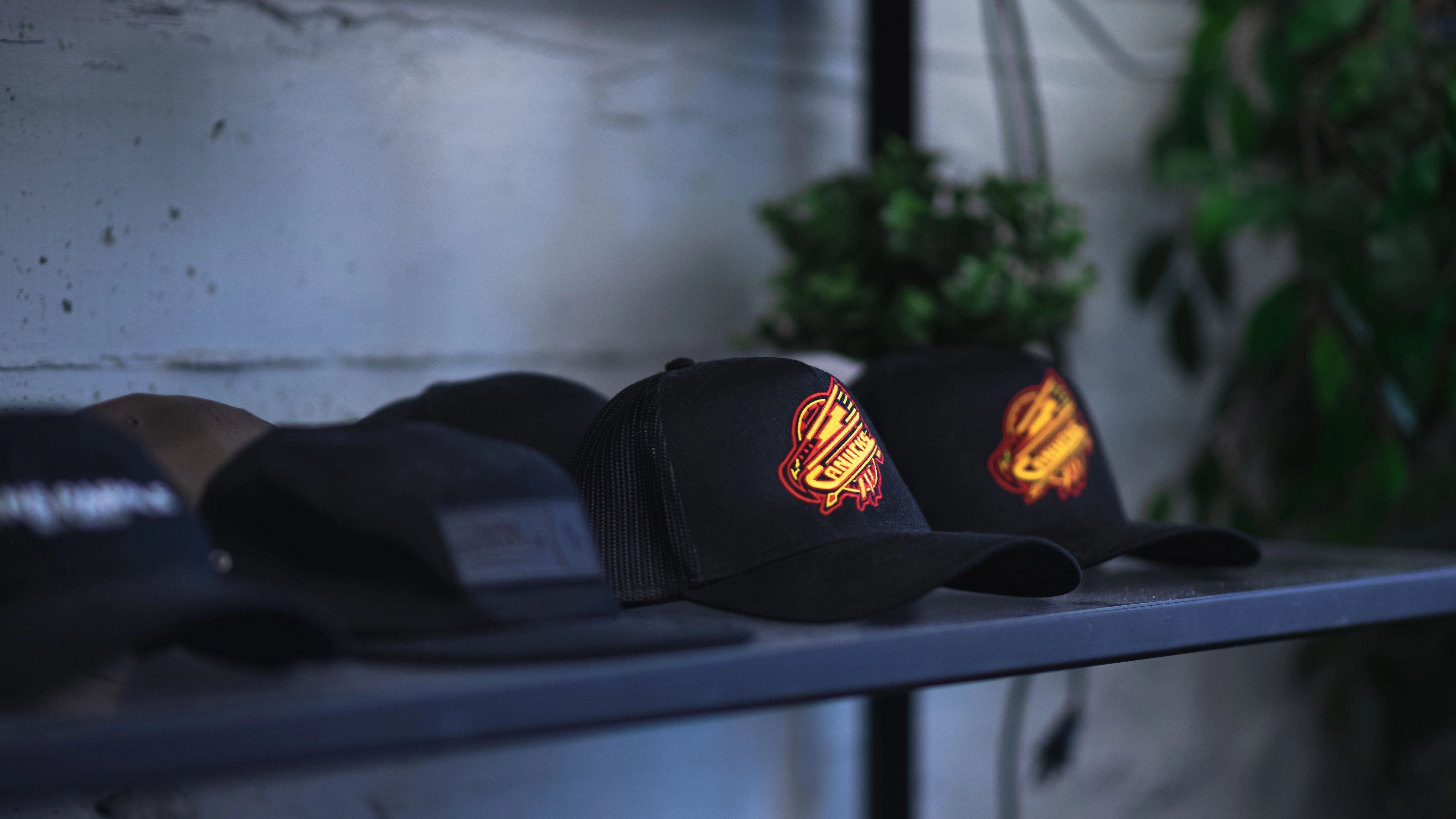 Brand Identity